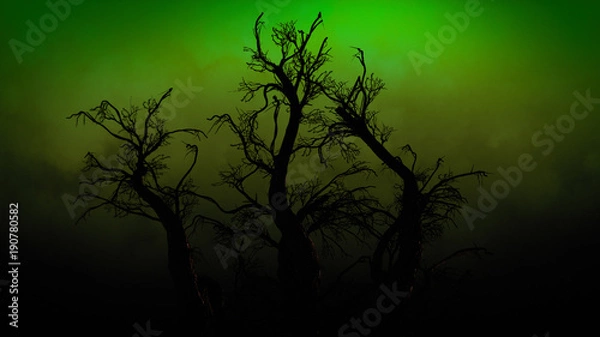 Fototapeta Spooky Tree Dark Night