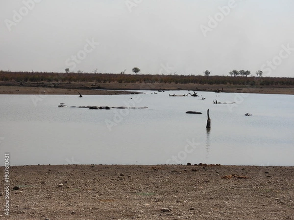 Obraz Road trip Aug 2025 2 