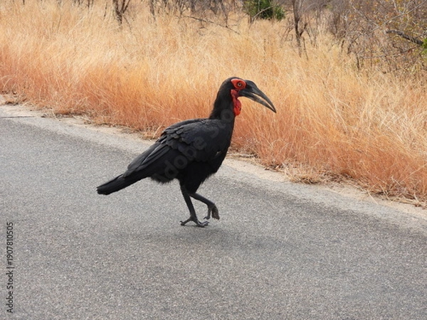 Obraz Road trip Aug 2025 2 