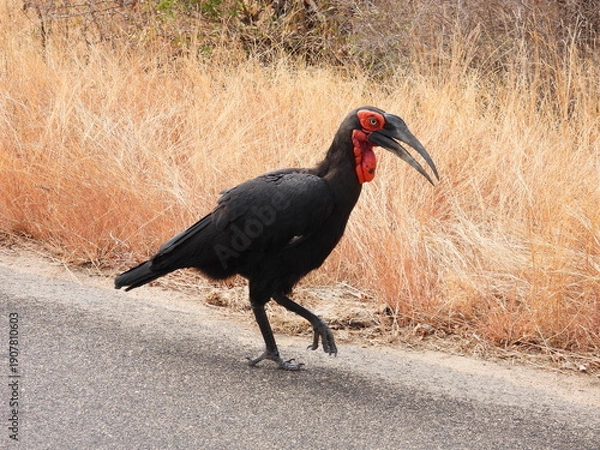 Obraz Road trip Aug 2025 2 