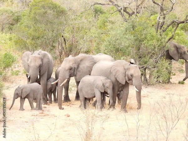 Obraz Road trip Aug 2025 2 