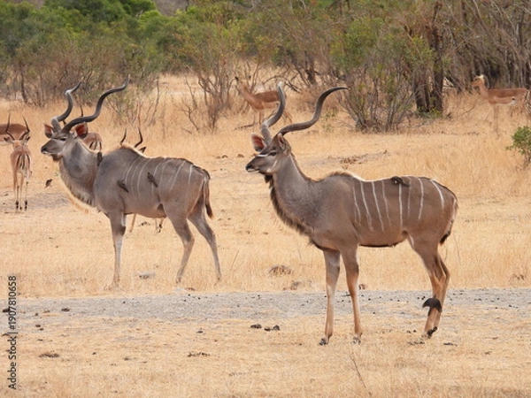 Obraz Road trip Aug 2025 2 