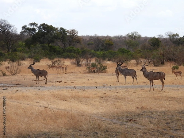 Obraz Road trip Aug 2025 2 