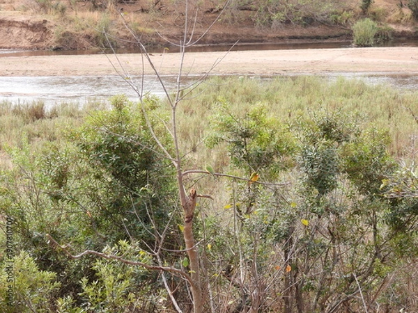 Obraz Road trip Aug 2025 2 