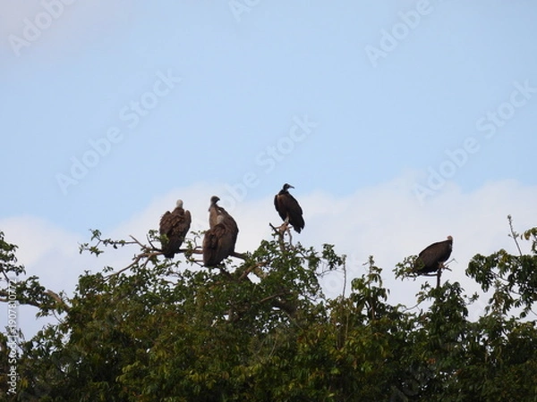 Obraz Road trip Aug 2025 2 