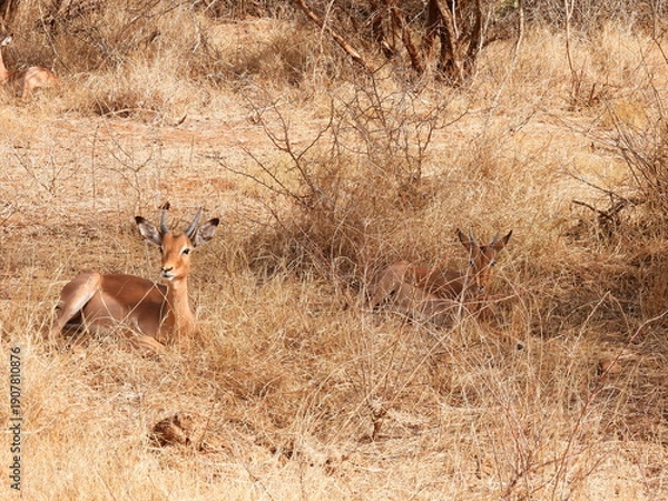 Obraz Road trip Aug 2025 2 