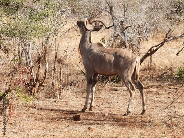 Obraz Road trip Aug 2025 2 