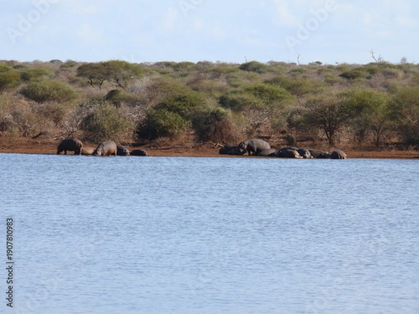 Obraz Road trip Aug 2025 2 