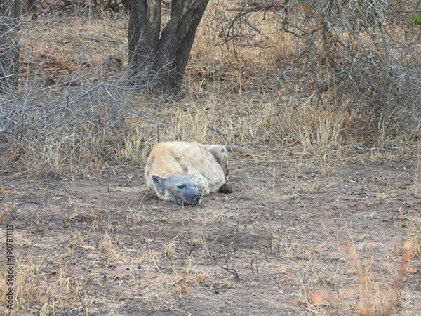 Obraz Road trip Aug 2025 2 