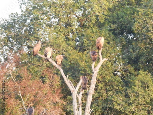 Obraz Road trip Aug 2025 2 