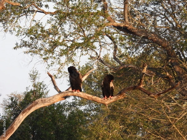 Obraz Road trip Aug 2025 2 