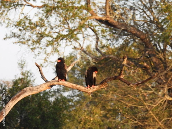 Obraz Road trip Aug 2025 2 