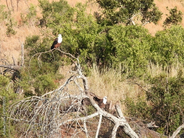 Obraz Road trip Aug 2025 2 