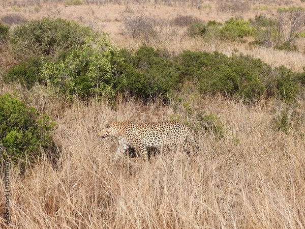 Obraz Road trip Aug 2025 2 