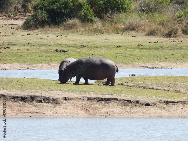 Obraz Road trip Aug 2025 2 