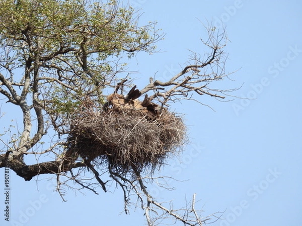 Obraz Road trip Aug 2025 2 