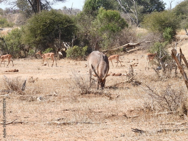 Obraz Road trip Aug 2025 2 