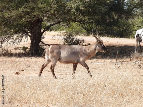 Obraz Road trip Aug 2025 2 