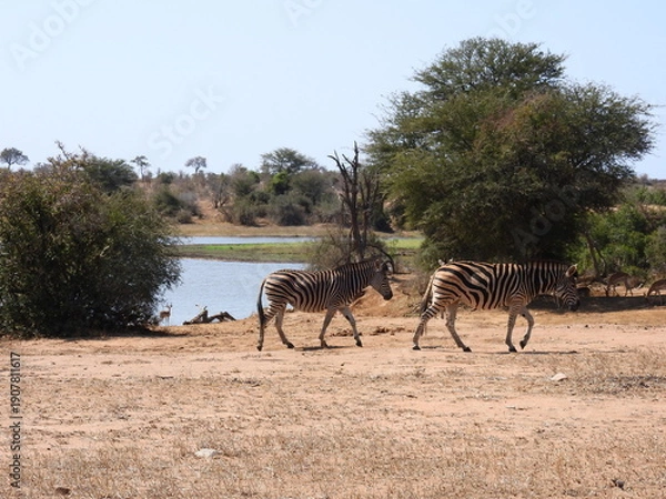 Obraz Road trip Aug 2025 2 