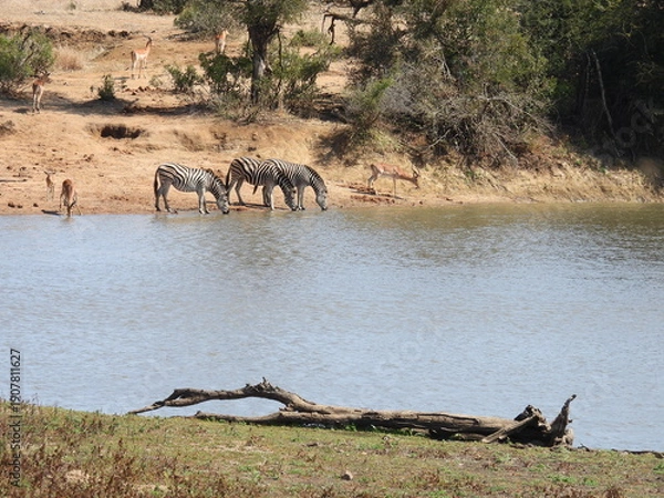 Obraz Road trip Aug 2025 2 