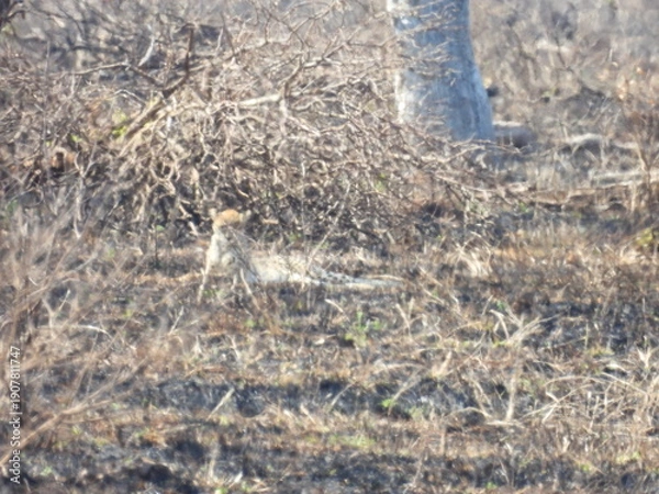 Obraz Road trip Aug 2025 2 