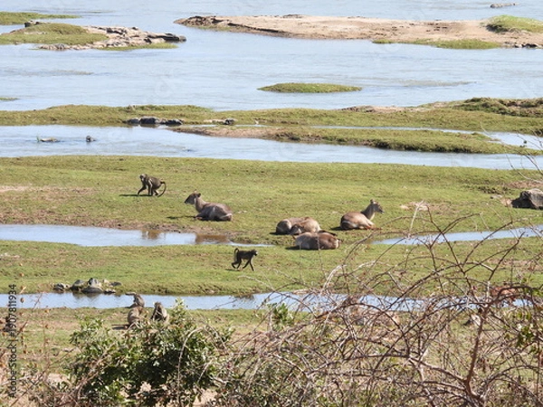 Obraz Road trip Aug 2025 2 