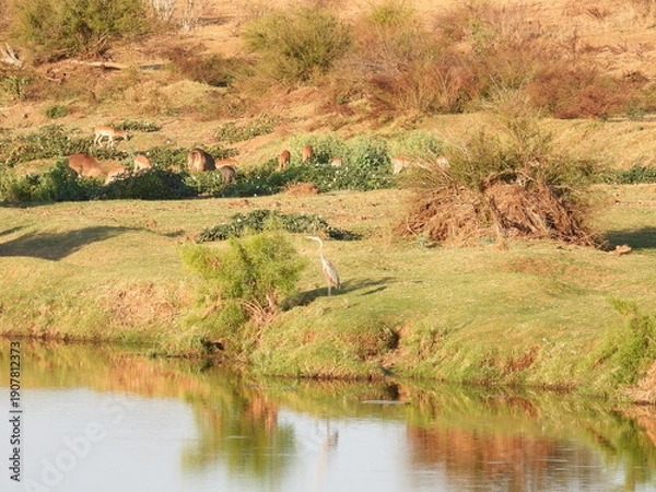 Obraz Road trip Aug 2025 2 