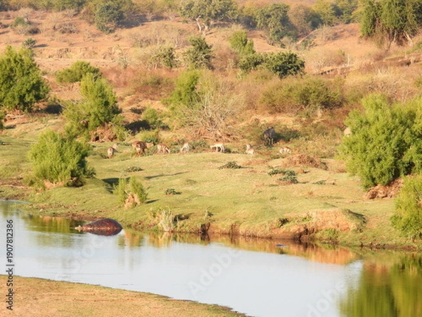 Obraz Road trip Aug 2025 2 