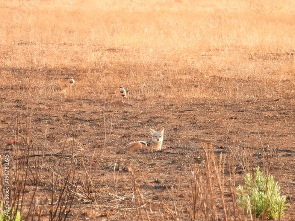 Obraz Road trip Aug 2025 2 