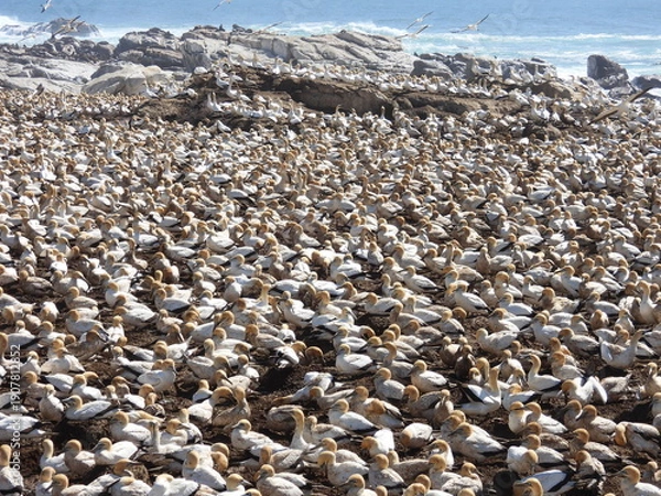 Obraz Road trip Aug 2025 2 