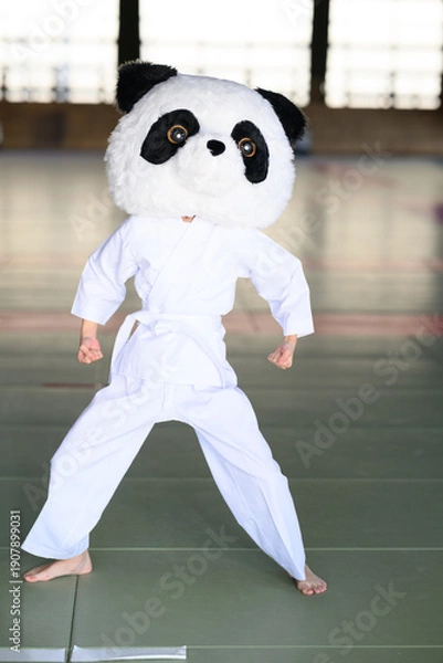 Obraz 道場で鋭い上段蹴りを繰り出すパンダの着ぐるみ　ユニークな空手の武道イメージ