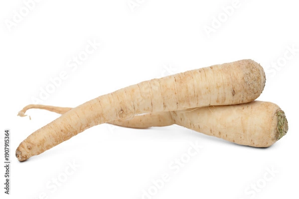 Obraz Parsley root, a root vegetable, isolated on a white background