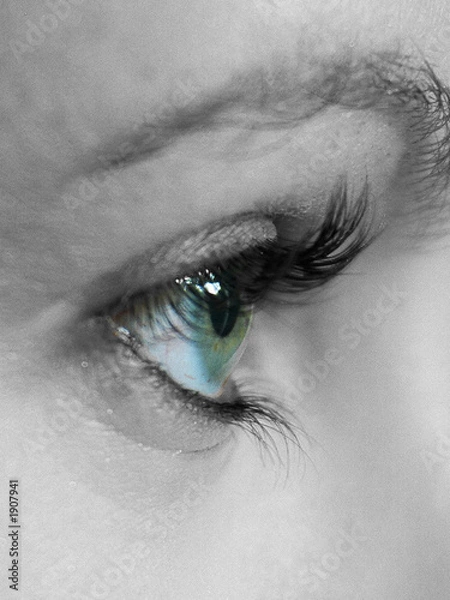 Obraz profile of a face