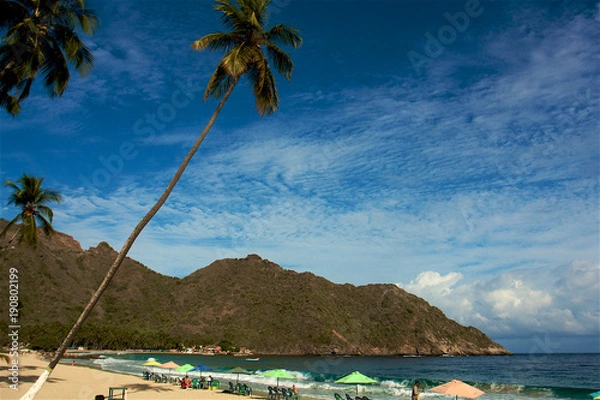 Obraz Caribbean beach