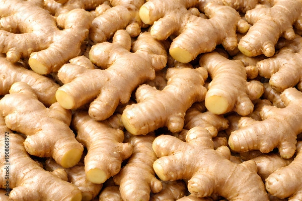 Obraz Fresh Ginger Rhizomes Close-Up Full Frame Background