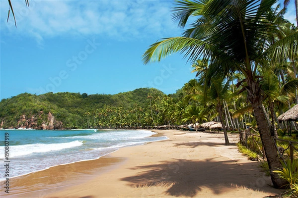 Obraz Caribbean beach