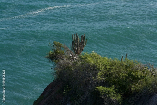 Obraz Caribbean beach