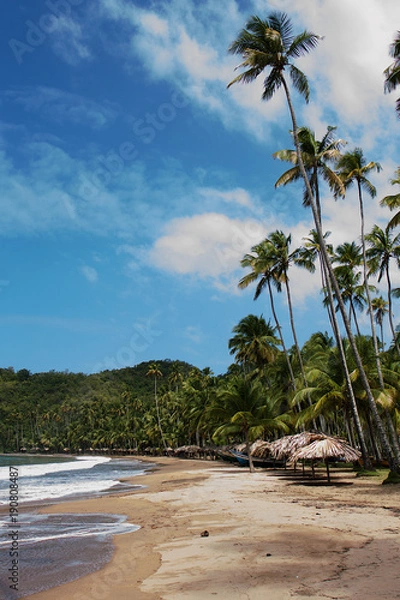 Obraz Caribbean beach