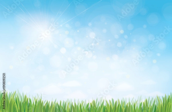 Fototapeta Vector summer nature  background, blue sunny sky and green grass border.