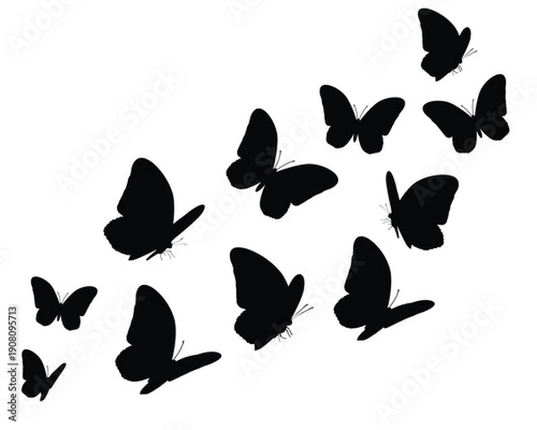 Obraz butterfly silhouettes vector