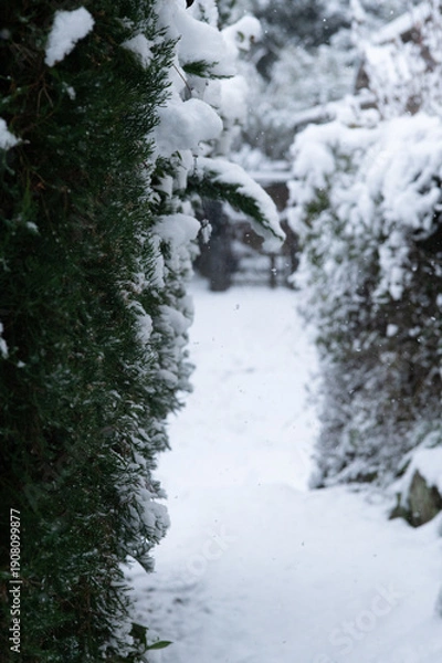 Obraz 雪が積もって真っ白になった小道