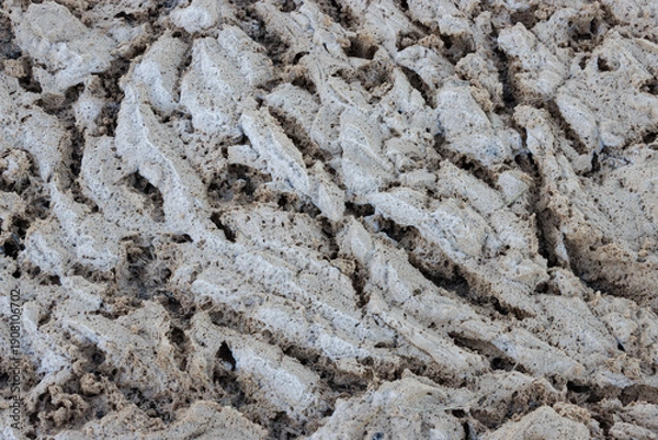 Obraz Cracked beige foam surface abstract textured background