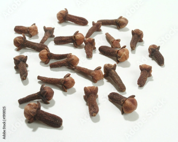 Obraz gewürznelken