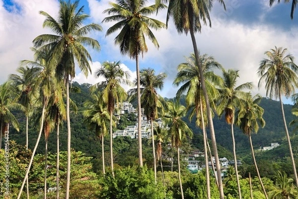 Fototapeta Ko Samui, Thailand