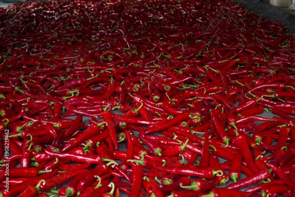 Obraz close up Red chili pepper.