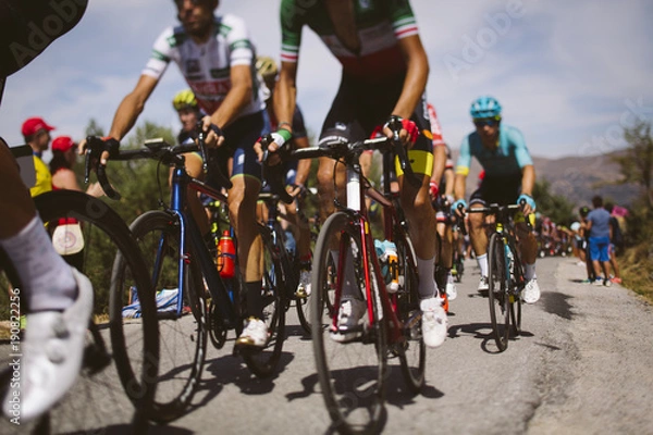 Obraz Group cyclist professional in a race.