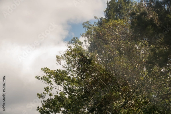 Obraz City shoots out