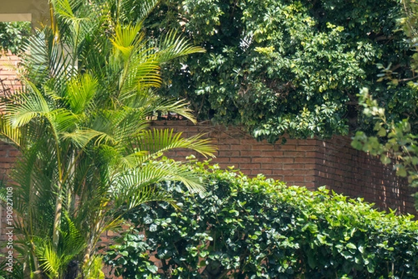 Obraz City shoots out