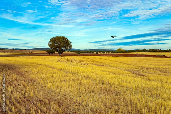 Obraz The autumn sky. Spain.