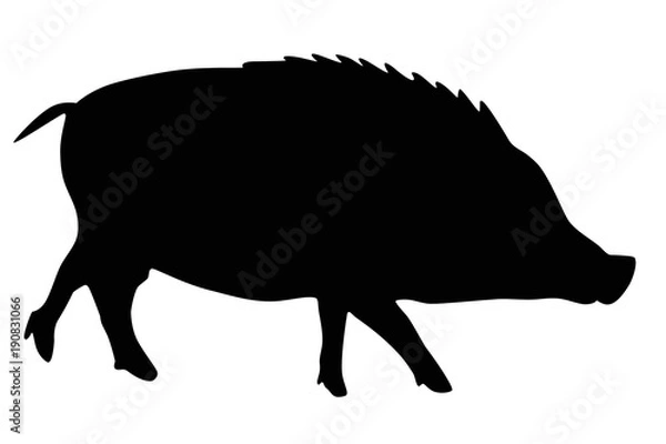 Obraz イノシシのイラスト　黒　右向き